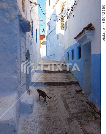 シェフシャウエンの街並みと猫　青と白の町　家 38642169