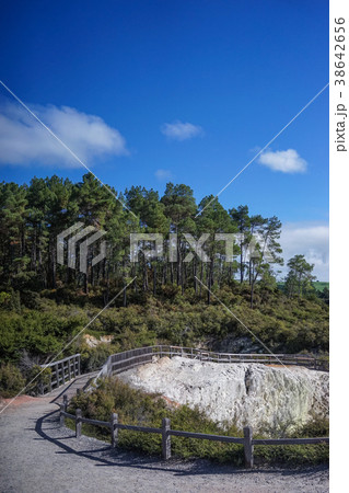 Lady Knox Geyser in New Zealand 38642656