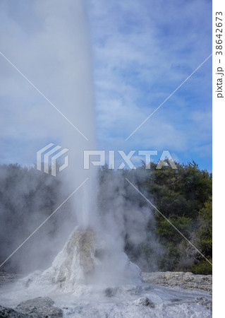 Lady Knox Geyser in New Zealand Lady Knox Geyser in New Zealand 38642673