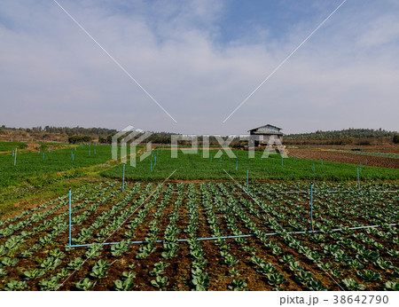 Rural scenery in Shan State, Myanmar Rural scenery in Shan State, Myanmar 38642790