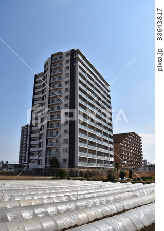 茅ヶ崎の田園風景とマンション 38643817