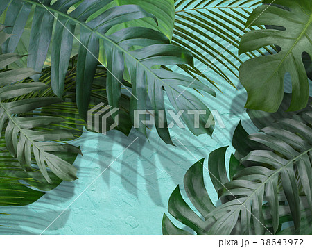 背景-植物-ブルー 38643972