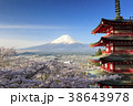 桜咲く新倉山浅間公園忠霊塔と富士山 38643978