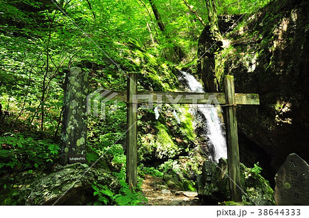 奥多摩御岳山の綾広の滝(横)2 奥多摩御岳山の綾広の滝(横)2 38644333