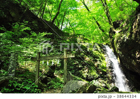 奥多摩御岳山登山道の綾広の滝 38644334