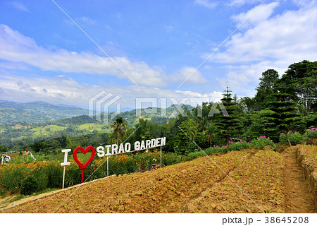 Sirao Garden 38645208