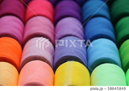 並ぶ 線 罫 38645849