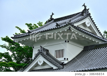 仙台城跡 38646654