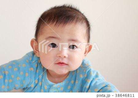 赤ちゃん　5カ月 38646811