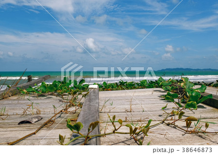 tropical sea view background at sunny day tropical sea view background at sunny day 38646873