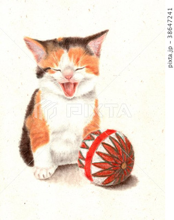 鞠と子猫 38647241
