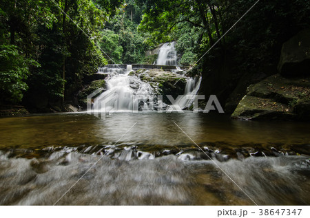 waterfall stream surrounded by rainforest waterfall stream surrounded by rainforest 38647347