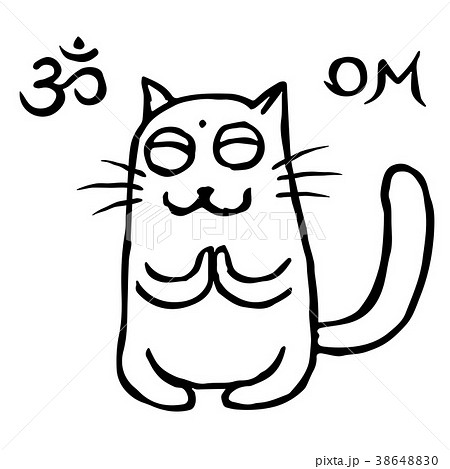 Funny cat Tik buddhist in harmonous. Vector Funny cat Tik buddhist in harmonous. Vector 38648830
