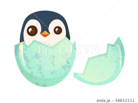 Chick In Eggのイラスト素材