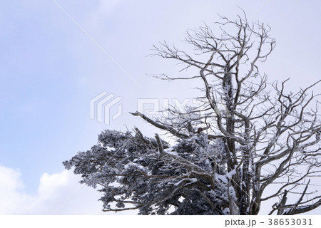 冬 雪景色 屋外 38653031