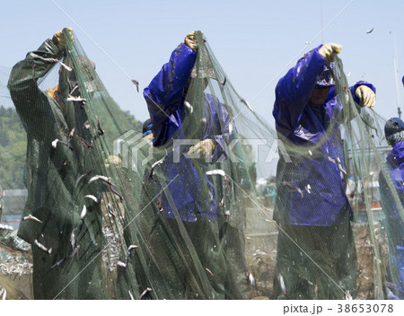 南海郡 慶南 韓国 38653078