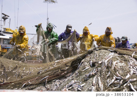 南海郡 慶南 韓国 38653104
