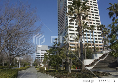 浦安市 3月 38653113