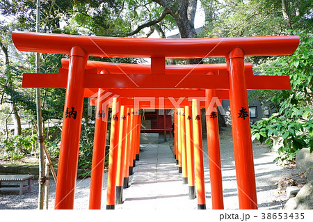 熱海来宮神社 熱海来宮神社 38653435