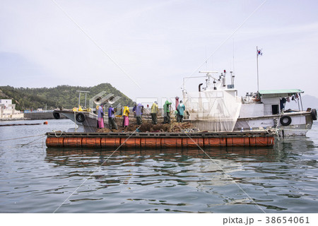 南海郡 慶南 韓国 38654061