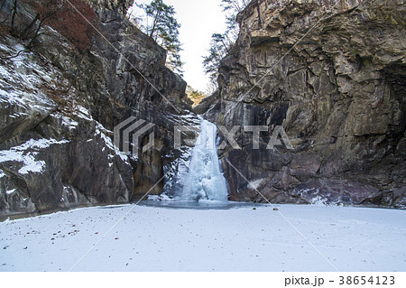 滝 風景 植物 38654123