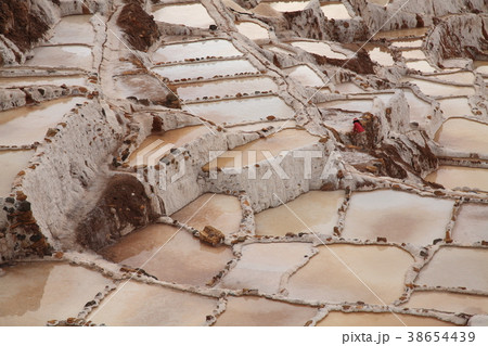 塩棚田 塩棚田 38654439