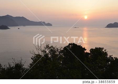 【三重県】尾鷲湾、夜明けの風景 38655659