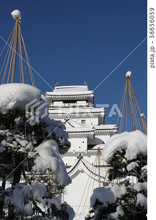 雪化粧の鶴ヶ城 雪化粧の鶴ヶ城 38656059