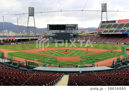 ズームズームスタジアムhanako2 38656880