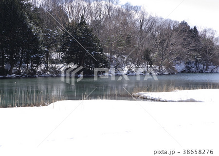 冬の奥日光 湯ノ湖 雪化粧した湖畔 b 冬の奥日光 湯ノ湖 雪化粧した湖畔 b 38658276