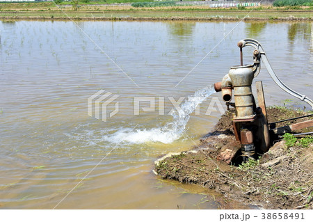 ポンプを用いた水田の水張り 38658491