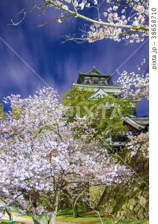 桜満開に見える天守閣、広島城  Hiroshima castle into Cherry bloss 38658710
