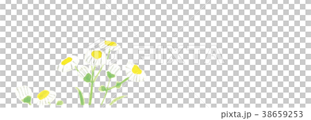 Haldione Watercolor handwriting 38659253