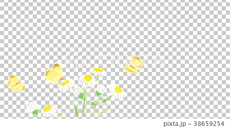 Harrion monkey butterfly watercolor handwriting Harrion monkey butterfly watercolor handwriting 38659254