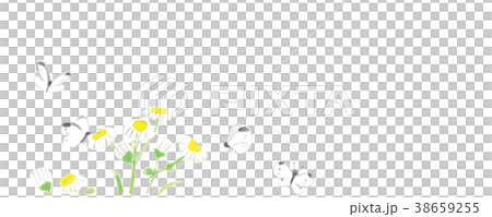 Haldione White butterfly Watercolor handwriting 38659255