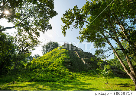 Tikal Tikal 38659717
