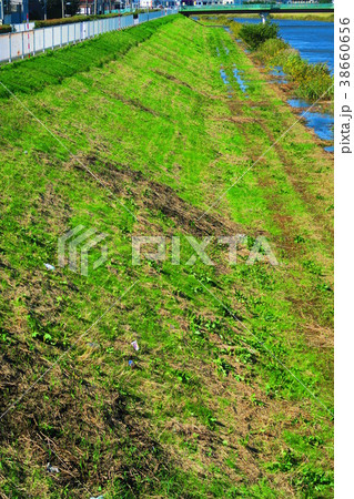 2017年10月22日の台風21号関東直撃翌日の埼玉県川口市の新芝川の風景 2017年10月22日の台風21号関東直撃翌日の埼玉県川口市の新芝川の風景 38660656