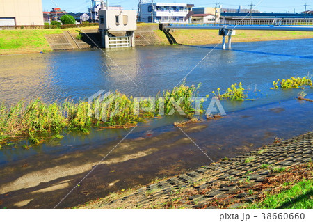 2017年10月22日の台風21号関東直撃翌日の埼玉県川口市の新芝川の風景 2017年10月22日の台風21号関東直撃翌日の埼玉県川口市の新芝川の風景 38660660