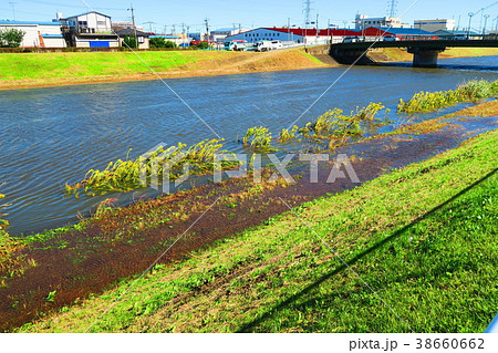 2017年10月22日の台風21号関東直撃翌日の埼玉県川口市の新芝川の風景 38660662
