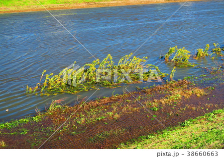2017年10月22日の台風21号関東直撃翌日の埼玉県川口市の新芝川の風景 2017年10月22日の台風21号関東直撃翌日の埼玉県川口市の新芝川の風景 38660663