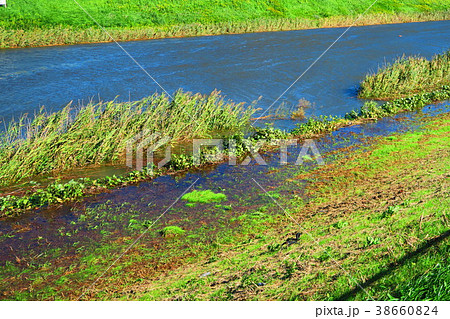 2017年10月22日の台風21号関東直撃翌日の埼玉県川口市の新芝川の風景 2017年10月22日の台風21号関東直撃翌日の埼玉県川口市の新芝川の風景 38660824