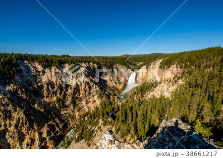 Lower Falls waterfall in Yellowstone 38661217