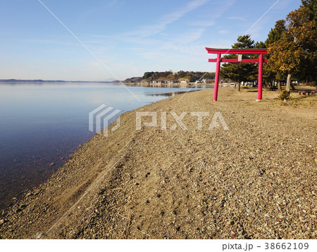 涸沼の鳥居 38662109
