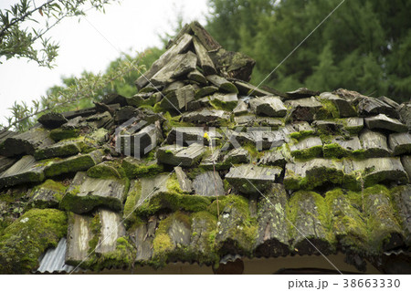 江原道 田畑 韓国 38663330