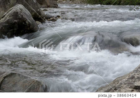 国立公園 植物 岩 38663414