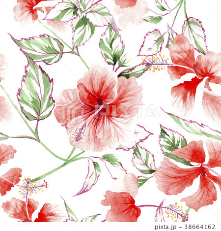 Wildflower rose flower pattern in a watercolor Wildflower rose flower pattern in a watercolor 38664162