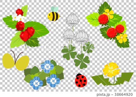 春の植物 春の植物 38664920