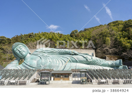 第一番札所 南蔵院 第一番札所 南蔵院 38664924