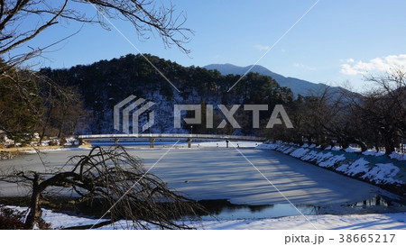 臥竜公園の冬 38665217