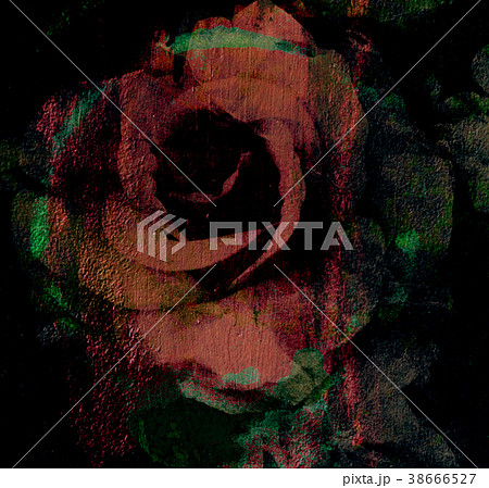 Magic rose, flower dark rose painted Magic rose, flower dark rose painted 38666527